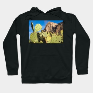 cactus Hoodie